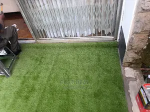 Grass Grass