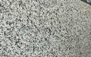 Granite[8x2ft] Countertops 