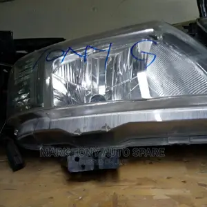 Figo Headlight.