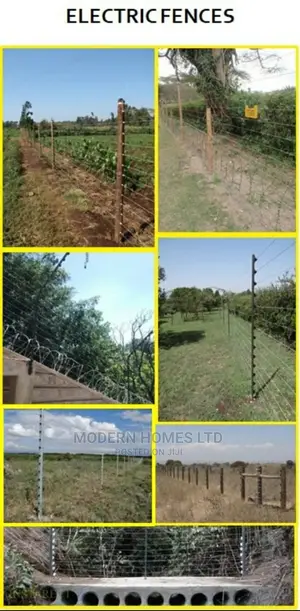 Perimeter Security Consultancy (E-Fence,Anti-Climb and Wall)