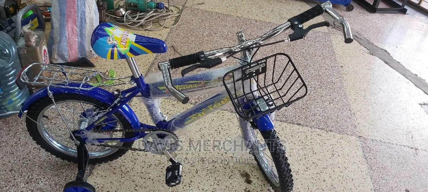 Bike Victory Size 16