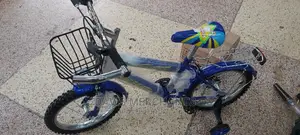 Bike Victory Size 16