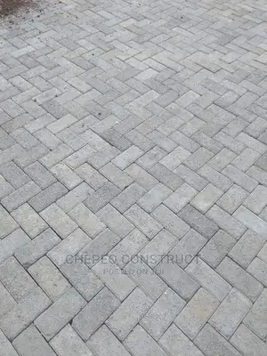 Ordinary Cabro/Pavers High Quality