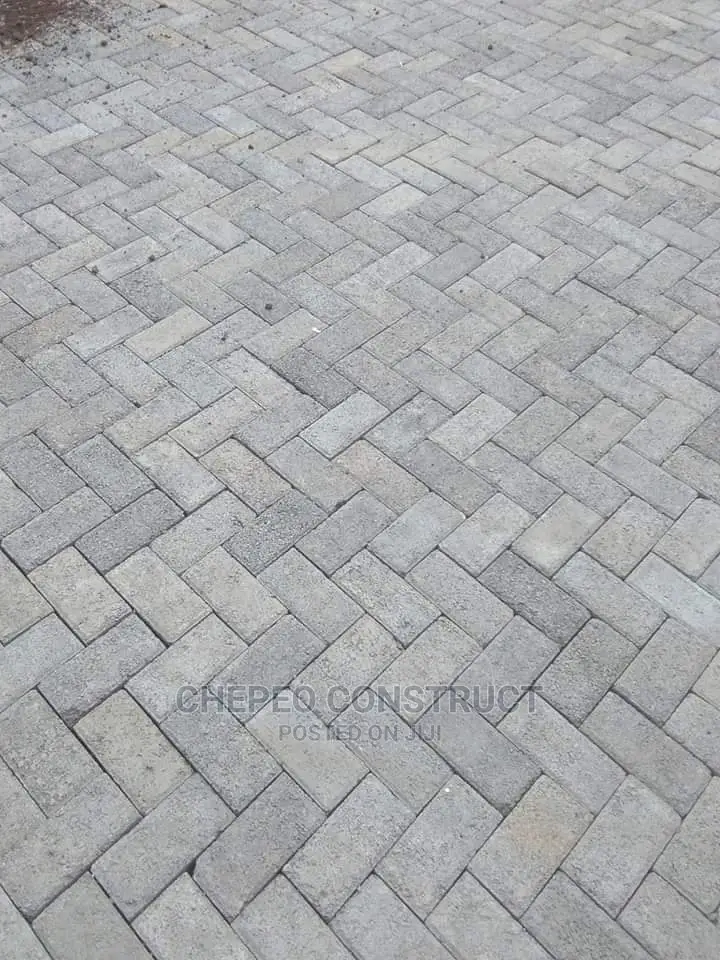 Ordinary Cabro/Pavers High Quality
