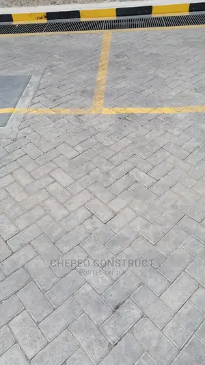 Ordinary Cabro/Pavers High Quality