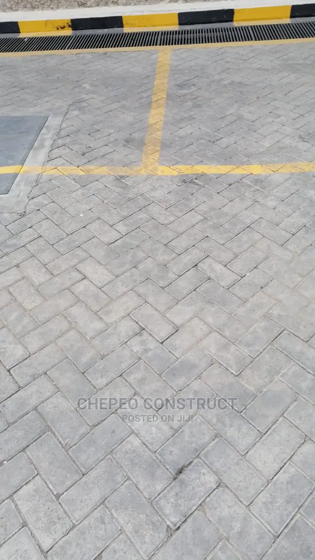Ordinary Cabro/Pavers High Quality