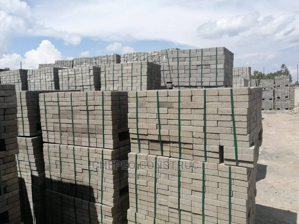 Ordinary Cabro/Pavers High Quality