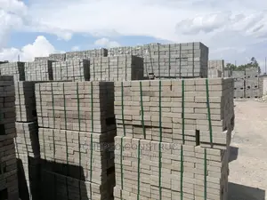 Ordinary Cabro/Pavers High Quality