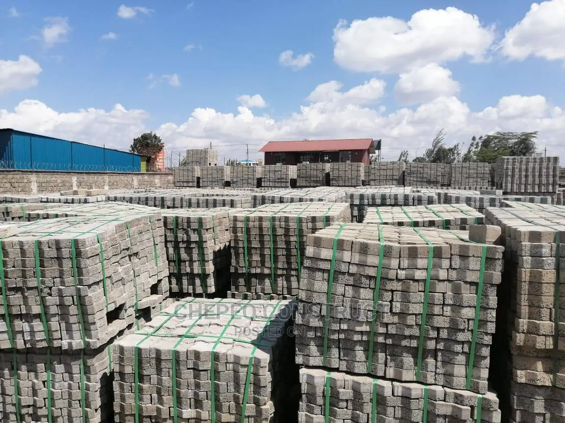 Ordinary Cabro/Pavers High Quality