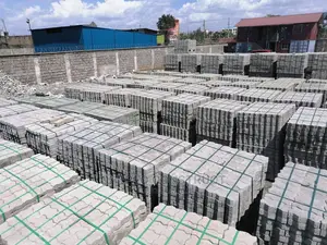 Ordinary Cabro/Pavers High Quality
