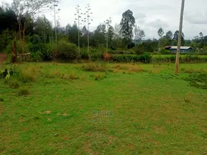 Karatina/Kianjogu Half Acre