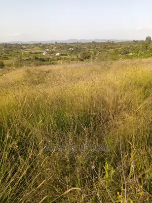 1 Acre at Kithini