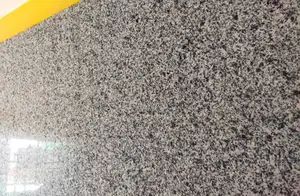Granite(8x2tf) Slab