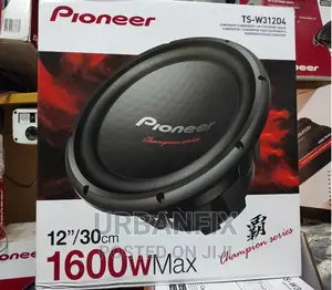 1600 Watts Pioneer Champion Series Double Coil
