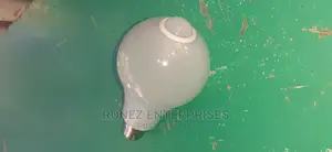 Bulb With Sencor