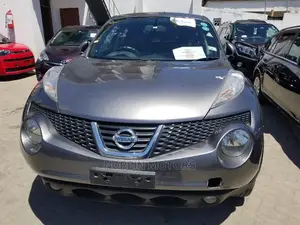 Nissan Juke 2014 Gray