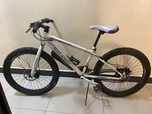 Raleigh Mountain Bike 24"