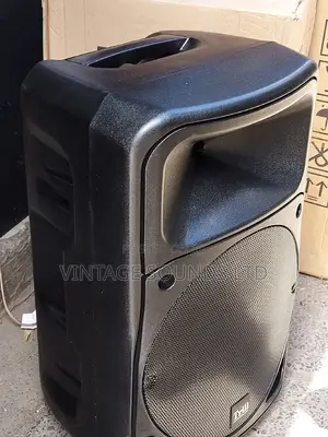 15inch Midrange Professional Speaker