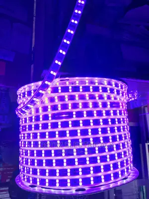 Rgb 100mtr Led Snake Light