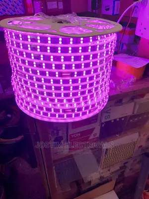 Led Snake Light Led Strip 100m