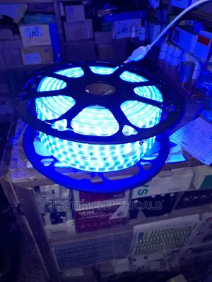 50m Led Snake Light