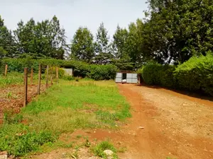 Karatina/50/100 Karindundu