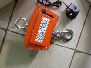 500kg Proven Crane Scale