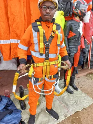 Safety Harness Full Body Panacea