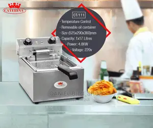 Caterina Deep Fryer Prices Below Ct109 10ltrs
