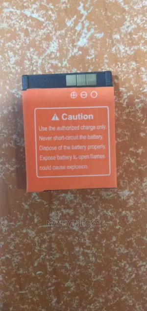 Smart Watch Battery
