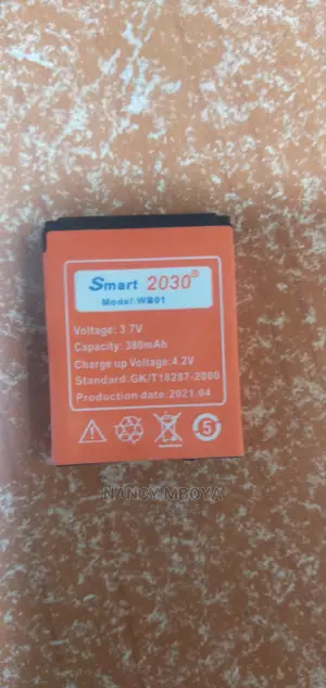 Smart Watch Battery
