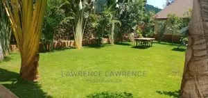 Racecourse Landscapers