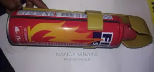 Fire Extinguisher 500ml