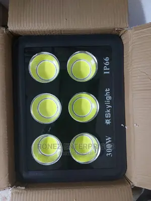 Floodlight 300wlt