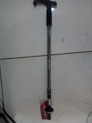 New Hiking Stick