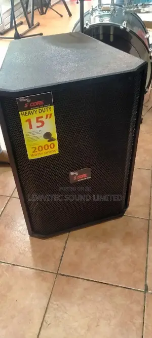 5 Core 15 Inch Speaker
