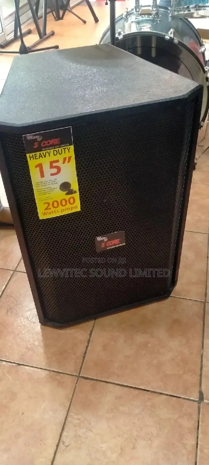 5 Core 15 Inch Speaker