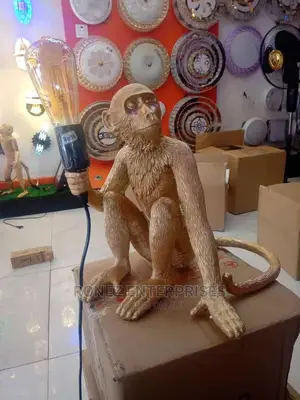 Monkey Light Wall Blacket