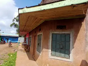 12 Unit House on Sale Karatina/Ragati