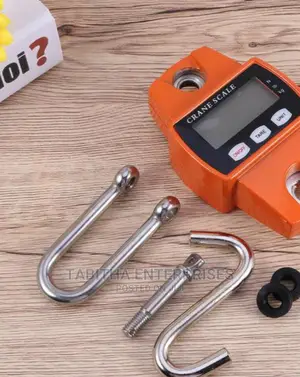 300kg Digital Crane Scale-Digital 300kgs
