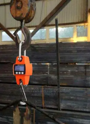 300kg Crane Hanging Scale