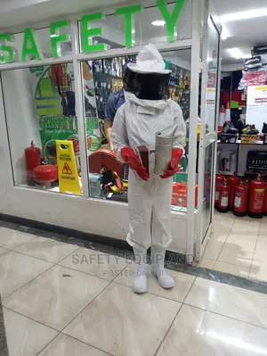 Bee Suit With Veil Available