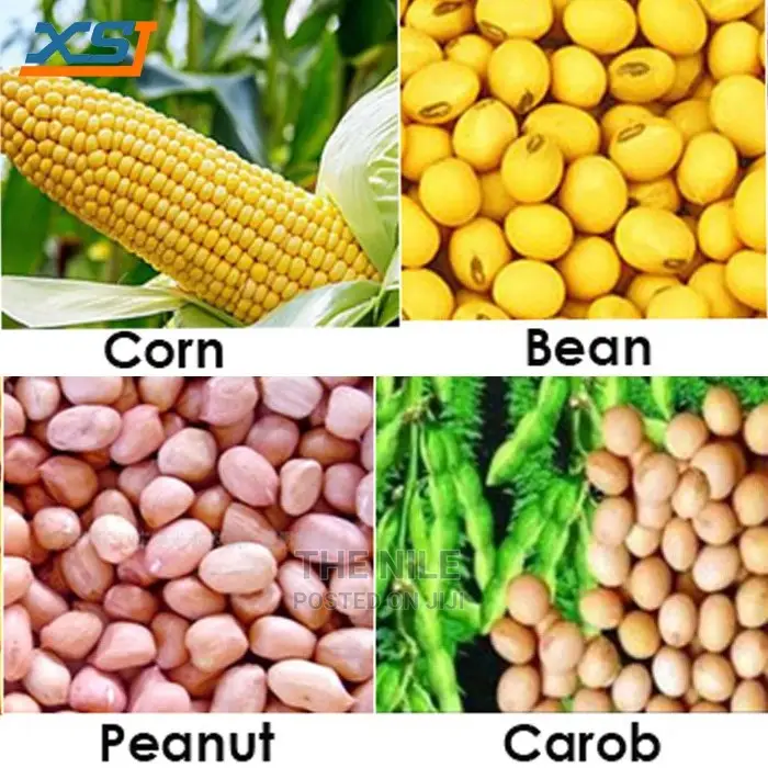 Large Corn Planter