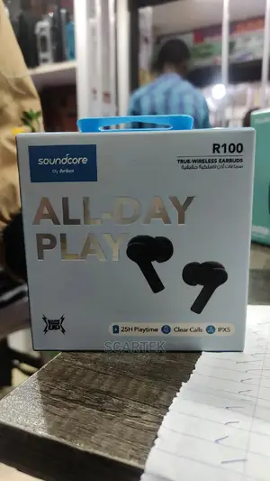 Anker Soundcore R100