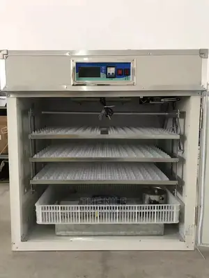 Incubators Hatching Eggs