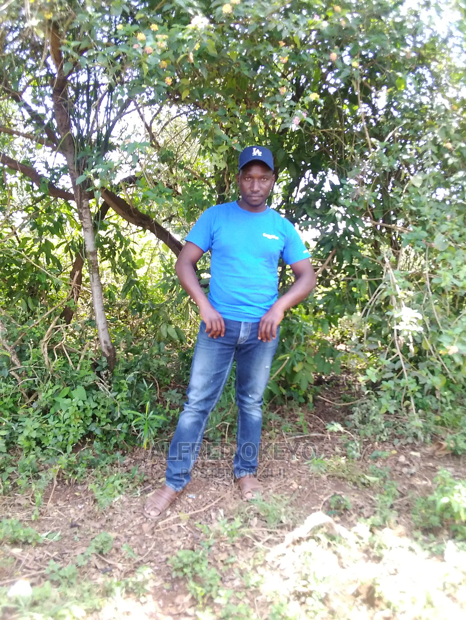 Am Looking for a CV as a Driver Classes BCE