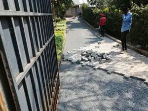 High Quality Pavers/Cabro