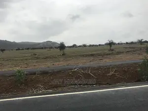 10 Acre Touching Daystar Rd
