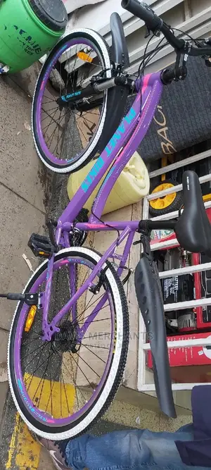 Ladies Exercise Bike With Gear,Front Shock