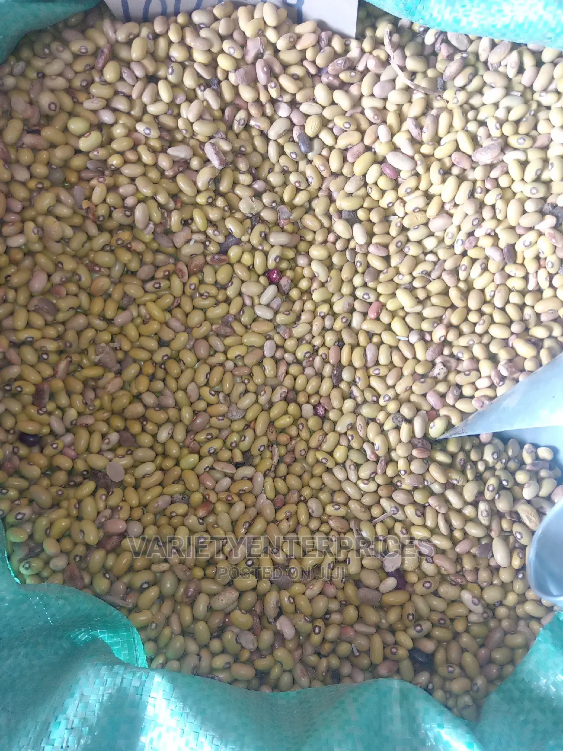 Yellow Beans